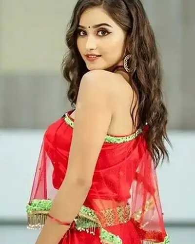 Call Girls Service Perundurai